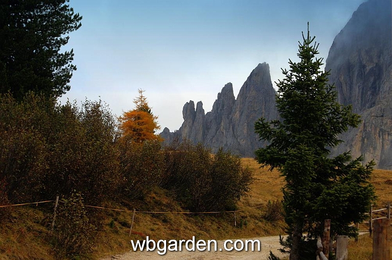 wbgarden alps 96.JPG